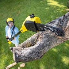 Professional Tree Services in Garden Ridge, TX